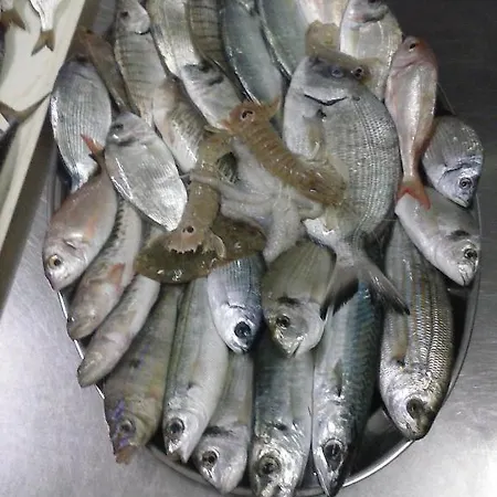 ホテル Piccolo Paradiso