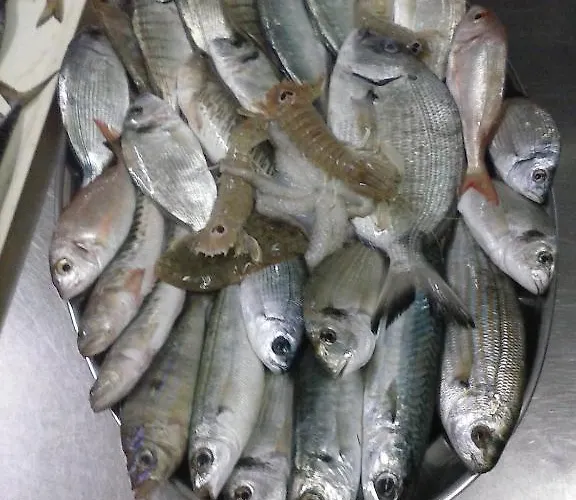 Hotel Piccolo Paradiso